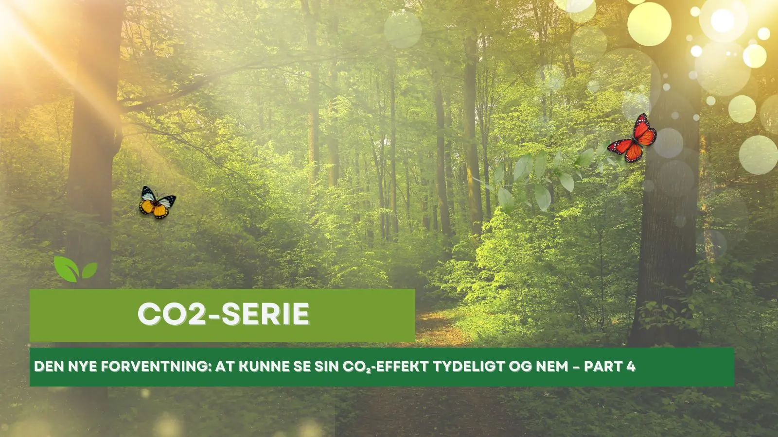 CO2_part4_makeiteasy