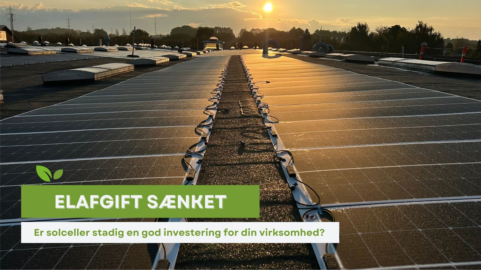 Solceller på erhvervsbygning — elafgift og investering 2026