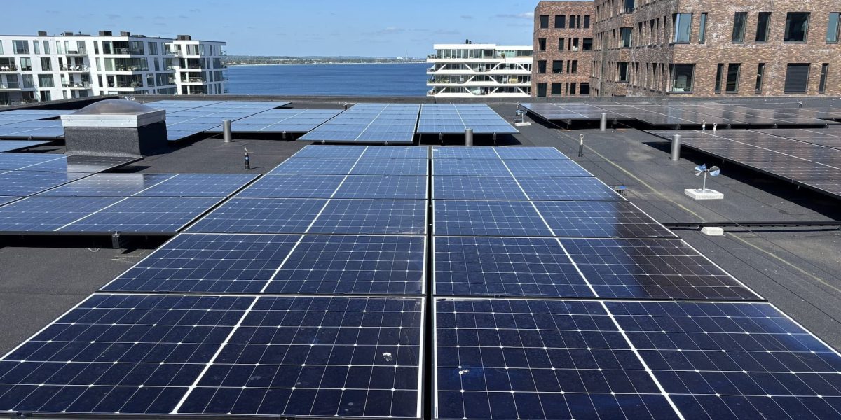 solcelleanlæg til kommuner og offentlige